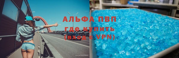 прущие грибы Дмитровск