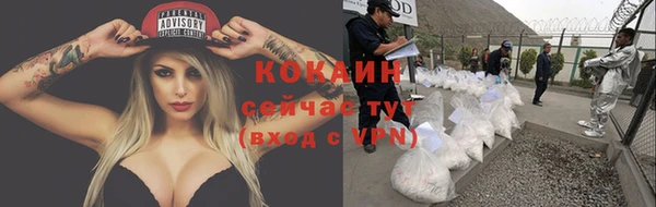 прущие грибы Дмитровск