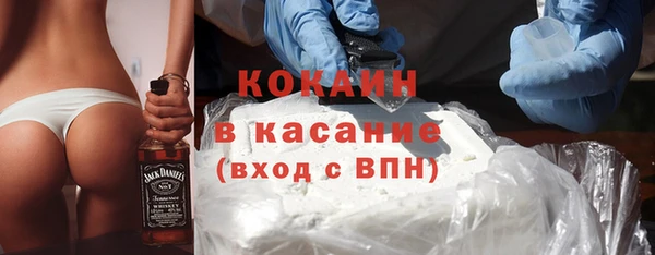мдпв Дмитриев