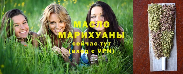 мдпв Дмитриев
