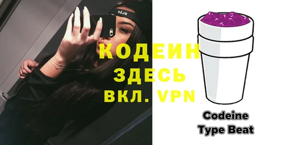 мдпв Дмитриев