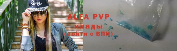 прущие грибы Дмитровск