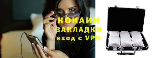мдпв Дмитриев