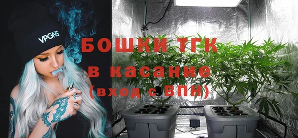 мдпв Дмитриев