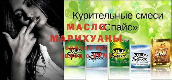 мдпв Дмитриев