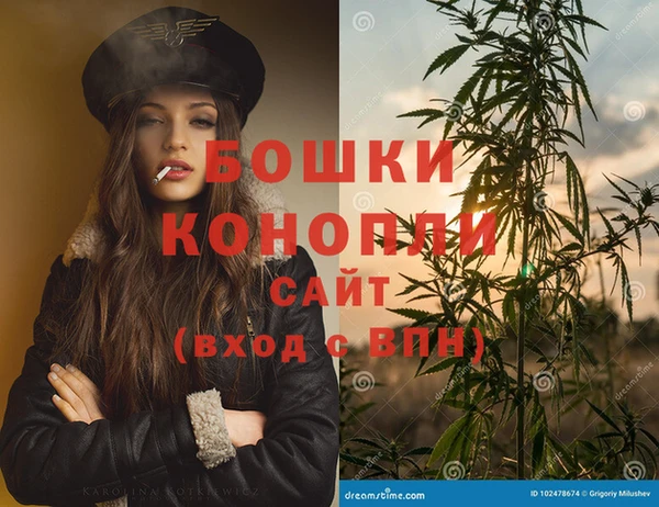 прущие грибы Дмитровск