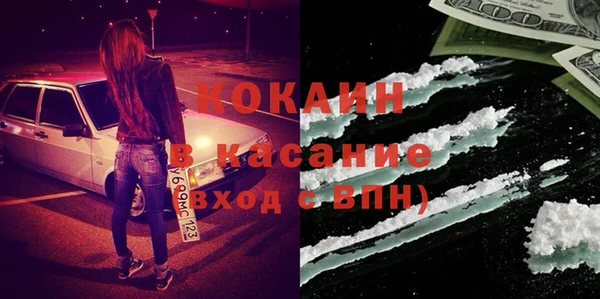 мдпв Дмитриев
