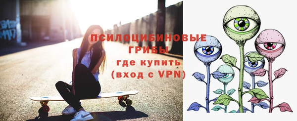 прущие грибы Дмитровск