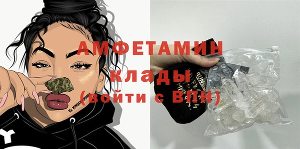мдпв Дмитриев