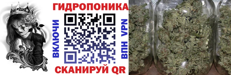 Бошки марихуана AK-47 Светлый